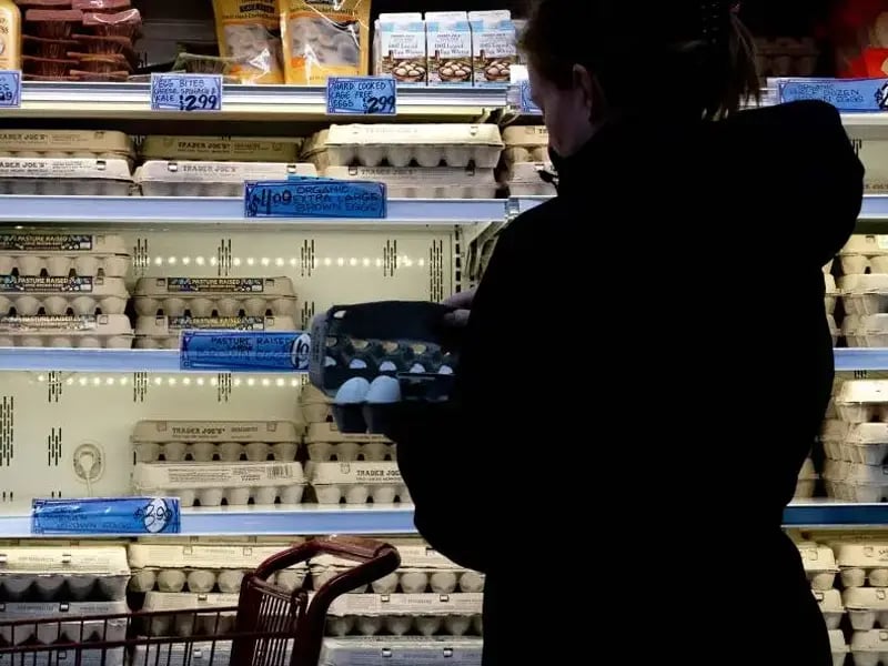 الأخبار الاقتصادية صورة المقال المميزة