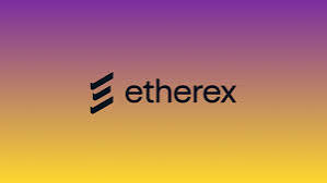 قفزة صاروخية لـ Etherex: 41% ارتفاع في يوم واحد بعد إطلاق Linea برنامج مكافآت المليار دولار