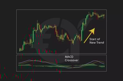 كيفية التداول باستخدام مؤشر MACD