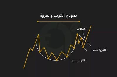 نموذج الكوب والعروة