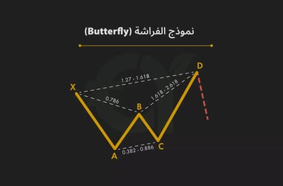 نموذج الفراشة