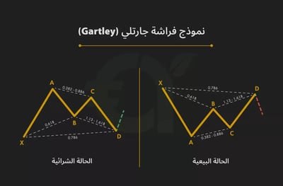 نمط فراشة جارتلي