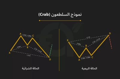 نموذج السلطعون