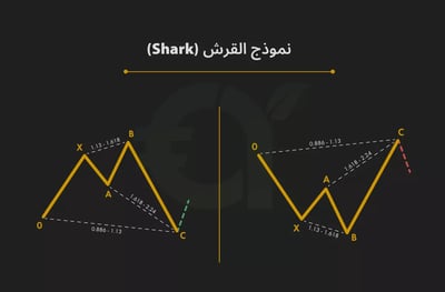 نموذج القرش