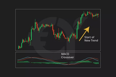 كيفية التداول باستخدام مؤشر MACD