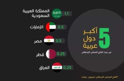  أكبر 5 دول عربية من حيث الناتج المحلي الإجمالي