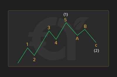 الدورة الأساسية لموجات إليوت