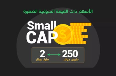 ما هي الأسهم ذات القيمة السوقية الكبيرة Big cap stocks؟