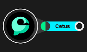 في هجوم خاطف: لص سيبراني يسطو على 223 مليون دولار من Cetus ويهزّ شبكة Sui