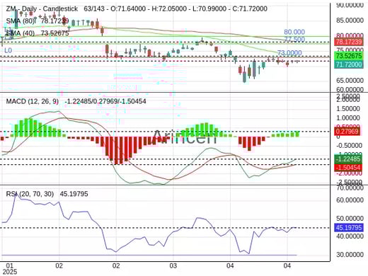 ZM Chart