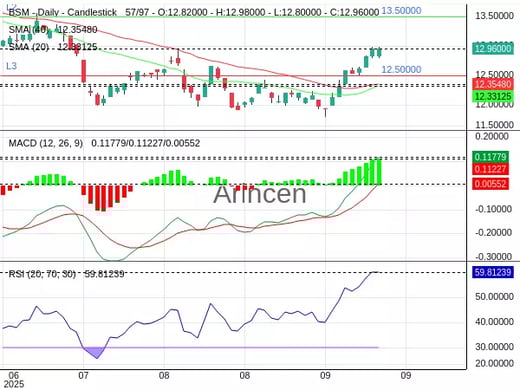 BSM Chart