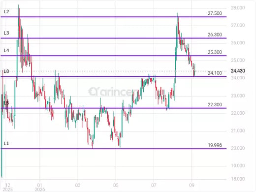 6019 Chart