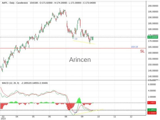 AAPL@173.64 Chart