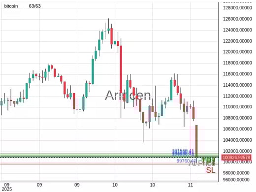 BTCUSD@100960.41 Chart