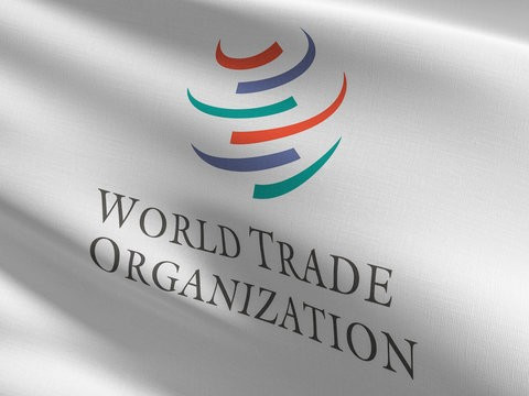 رئيس منظمة التجارة العالمية يتوقع أن التجارة العالمية قد تنمو بشكل أضعف من المتوقع