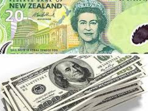 الدولار النيوزيلندي يتراجع بنحو 2 في المائه للمستوى الأدنى منذ 2016 أمام الدولار الأمريكي