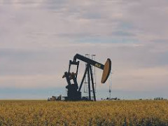 أسعار النفط ترتفع بعد تراجع يوم أمس وسط تقييم بيانات المخزونات الأمريكية