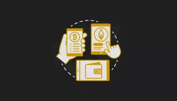 What Are The Types of Crypto Wallets and How Do They Work?