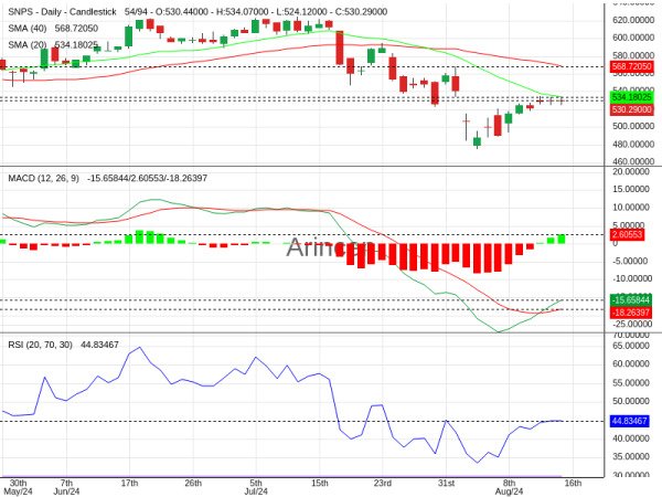 SNPS Chart