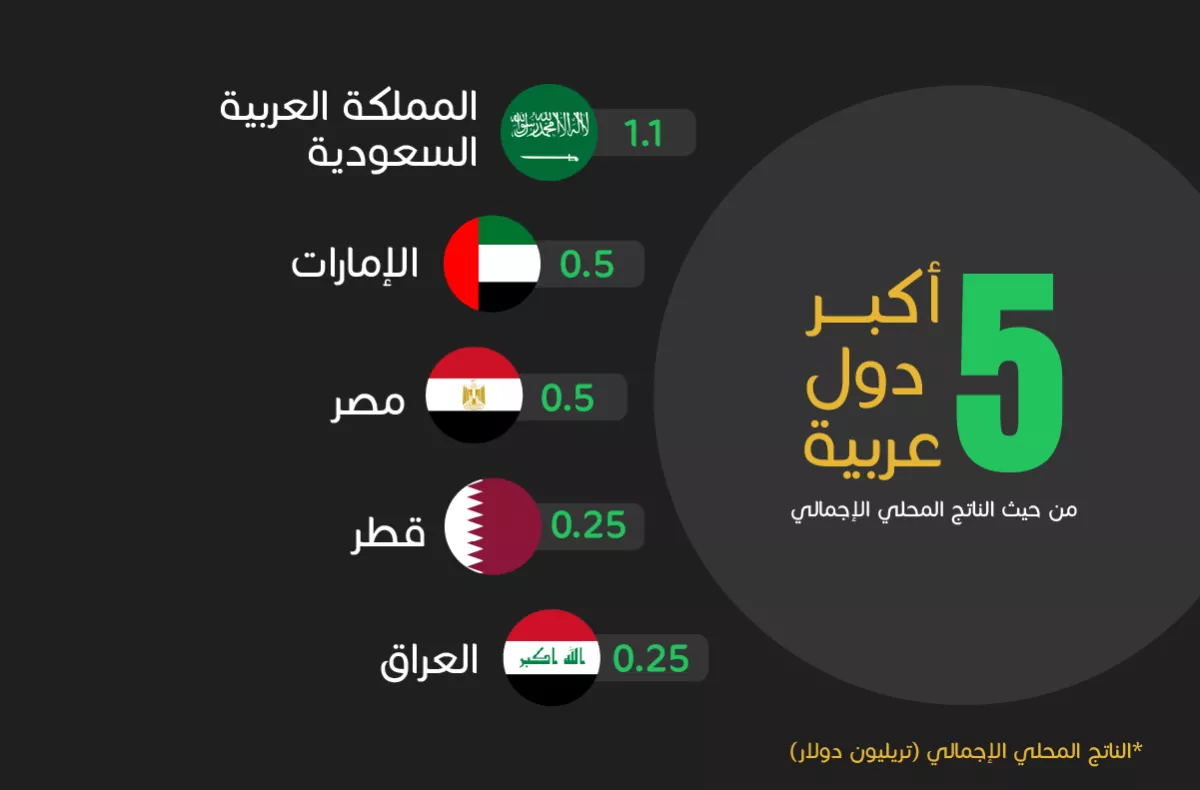  أكبر 5 دول عربية من حيث الناتج المحلي الإجمالي