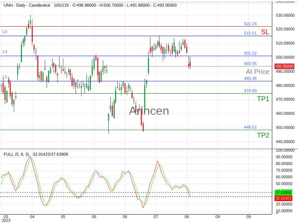 UNH@493.95 Chart