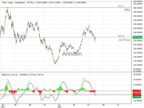 TSLA@236.46 Chart