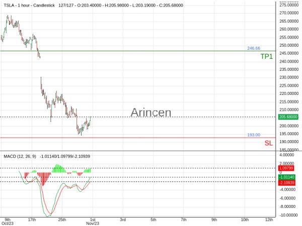 TSLA@205.68 Chart