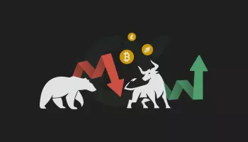 What to Do in a Crypto Bear Market? 8 Strategies for Bear Market